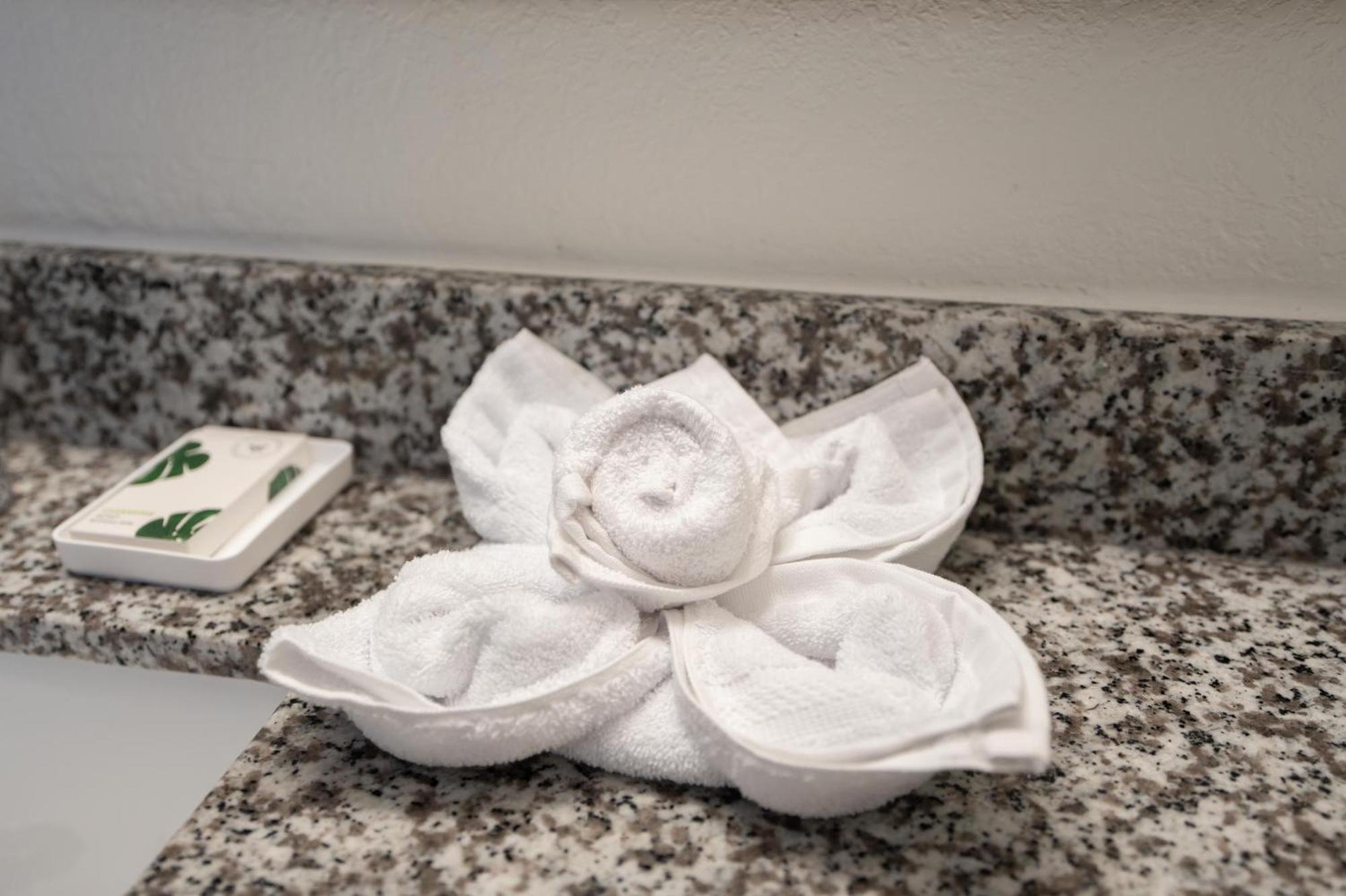 Oasis Bay Suites, Tampa, Busch Gardens, Usf Kültér fotó