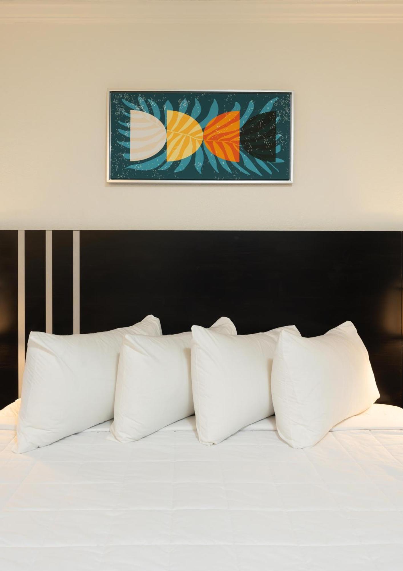 Oasis Bay Suites, Tampa, Busch Gardens, Usf Kültér fotó