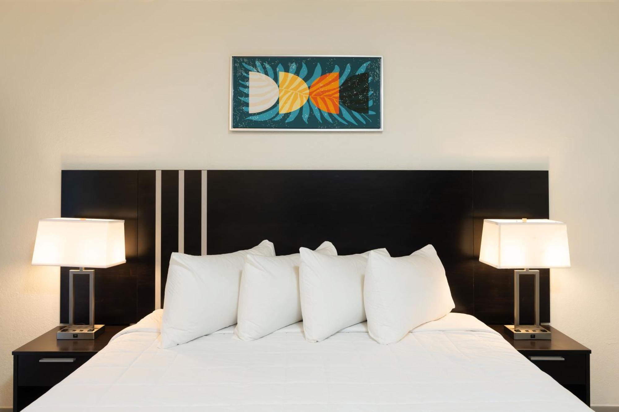 Oasis Bay Suites, Tampa, Busch Gardens, Usf Kültér fotó