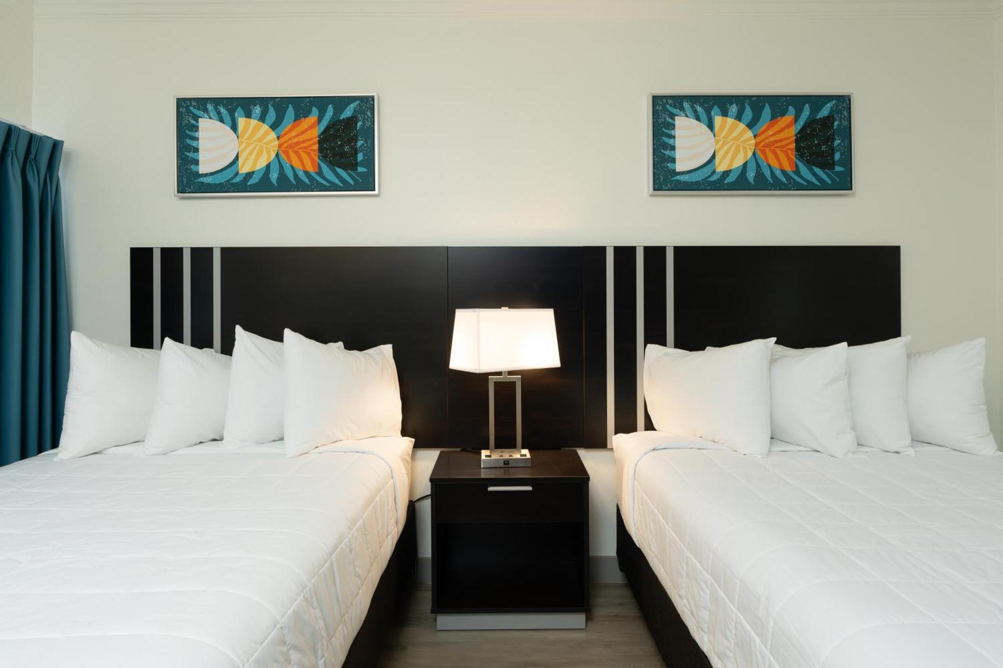Oasis Bay Suites, Tampa, Busch Gardens, Usf Kültér fotó