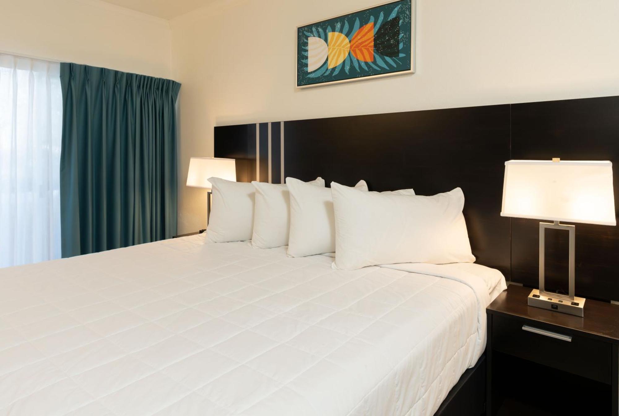Oasis Bay Suites, Tampa, Busch Gardens, Usf Kültér fotó